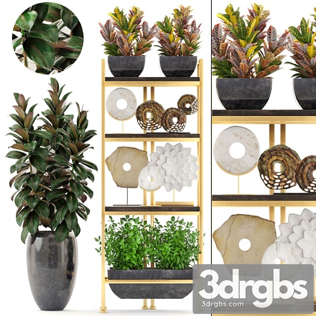 Decorative Set of 5 Shelf Decor Discs Figurine Ficus Pot Croton Shelf With Flowers Luxury 3dsmax Download - thumbnail 1