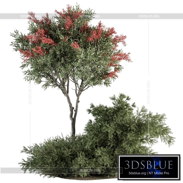 Red Crape Myrtle tree and Bush – Outdoor Garden Set 313 3DS Max - thumbnail 3