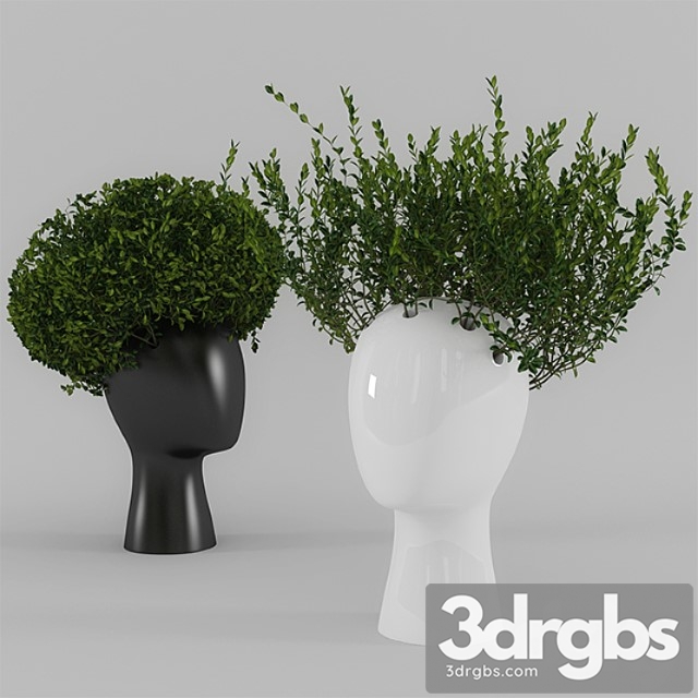 Wig Vase With Boxwood Part 1 3dsmax Download - thumbnail 1
