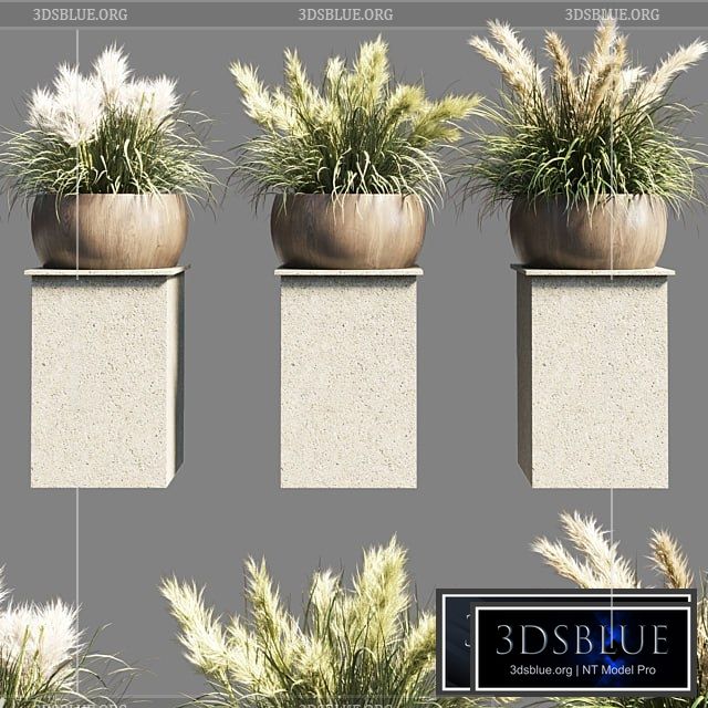 Collection outdoor indoor 70 pot palnt grass the dry pampas stand vase wooden 3DS Max - thumbnail 3