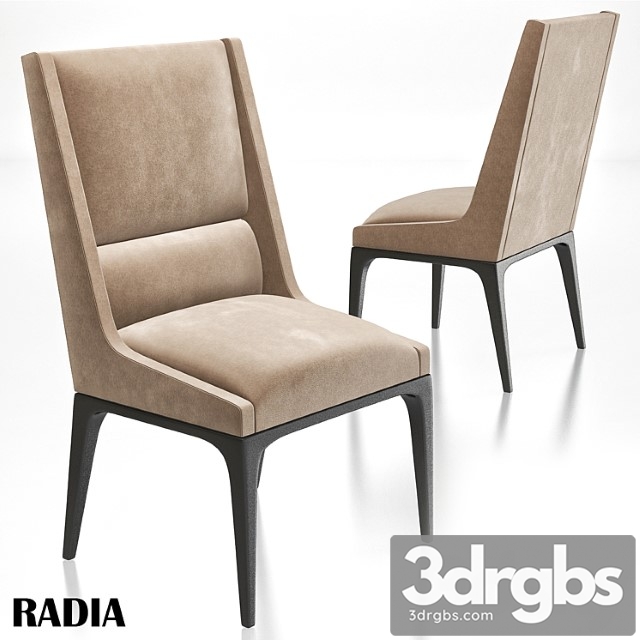 AXIS Radia Dining Chair 3dsmax Download - thumbnail 1