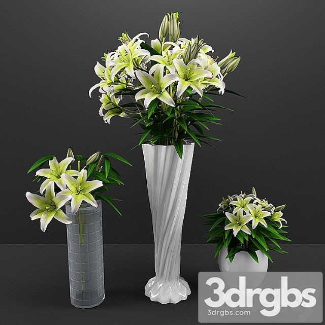 Flowers 40 3dsmax Download