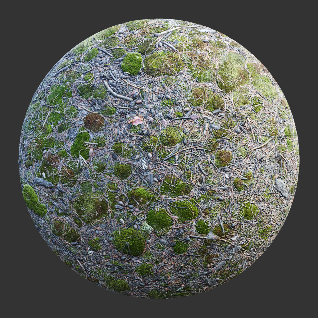 PBR TEXTURES – FULL OPTION – Ground Forest Mossy – 548 - thumbnail 2