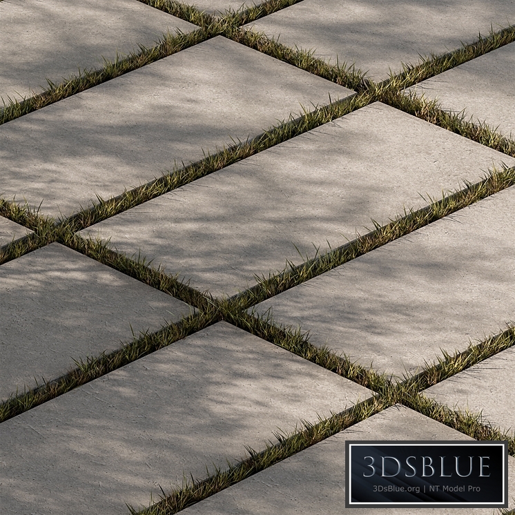 Concrete Slab with Grass - Paving 03