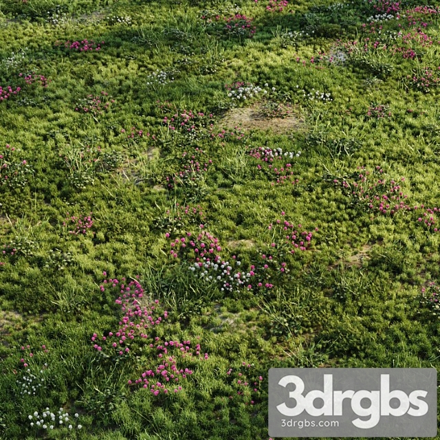 Meadow Grass 3dsmax Download - thumbnail 1