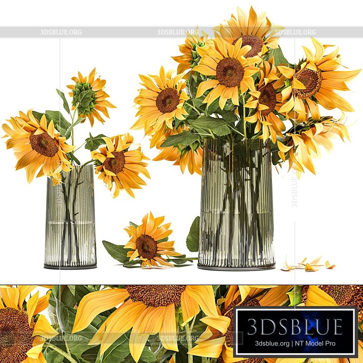 A set of beautiful bouquets of yellow flowers in a vase with Sunflower Sunflower. 119 3DS Max - thumbnail 3
