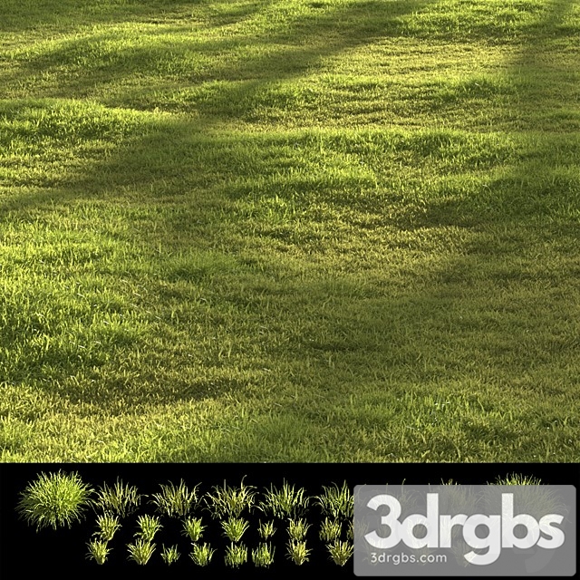 Garden Grass 3dsmax Download - thumbnail 1