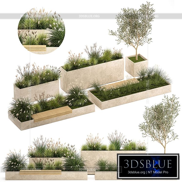 Collection of plants for the urban environment with a flower bed a bench and concrete outdoor flowerpots bushes and grass Miscanthus olive tree garden. 1141. 3DS Max - thumbnail 3