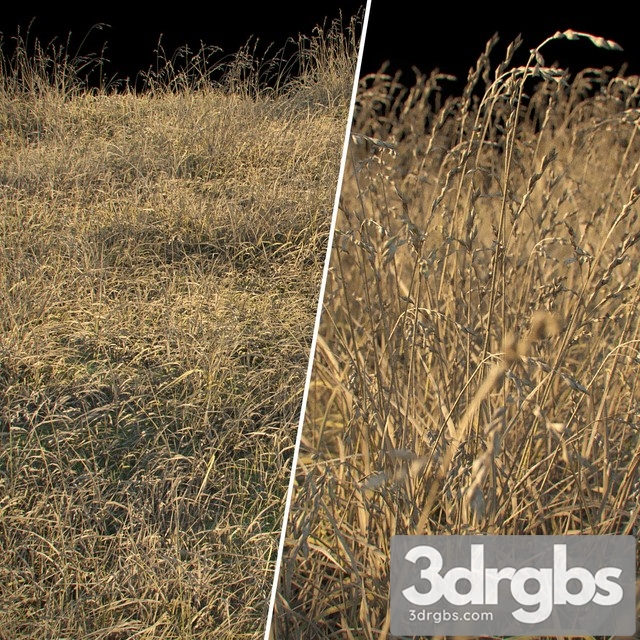 Dry Grass 1 3dsmax Download - thumbnail 1