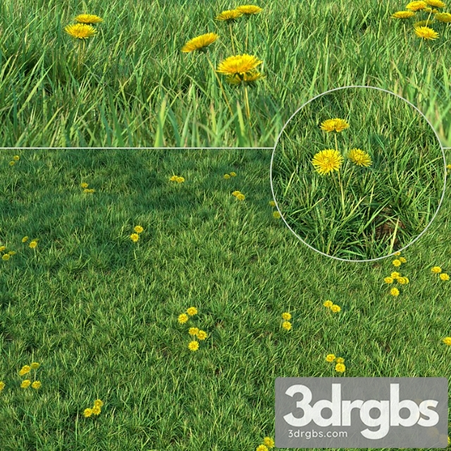 Grass For Landscaping 3dsmax Download