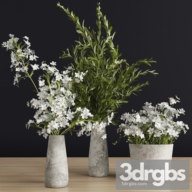 Flowers Vase Set 3 3dsmax Download - thumbnail 1