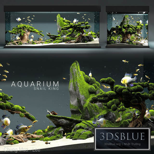Aquarium snail king 3DS Max - thumbnail 3