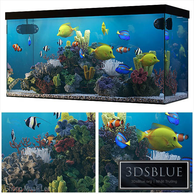 Seawater aquarium 3DS Max - thumbnail 3