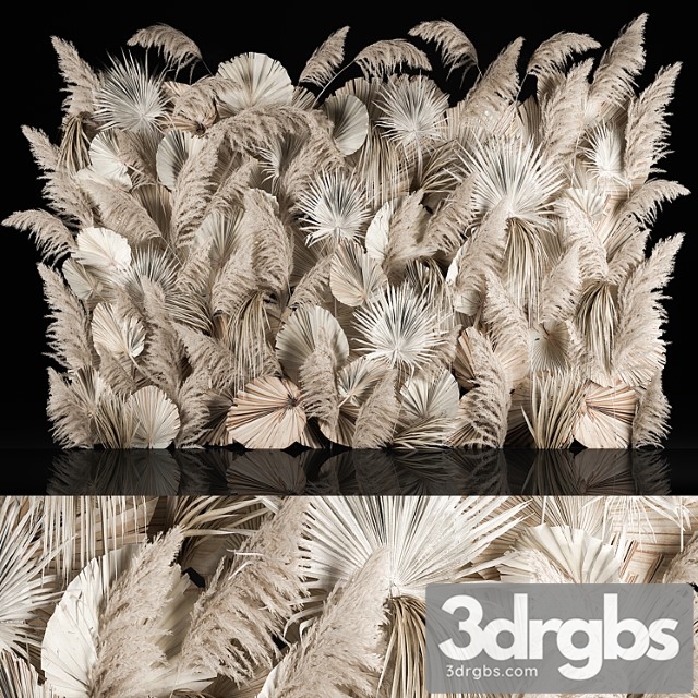 Vertical Garden Of Dried Flowers Pampas Grass Dry Palm Branches Cortaderia Bouquet And Dry Reeds 283 3dsmax Download - thumbnail 1