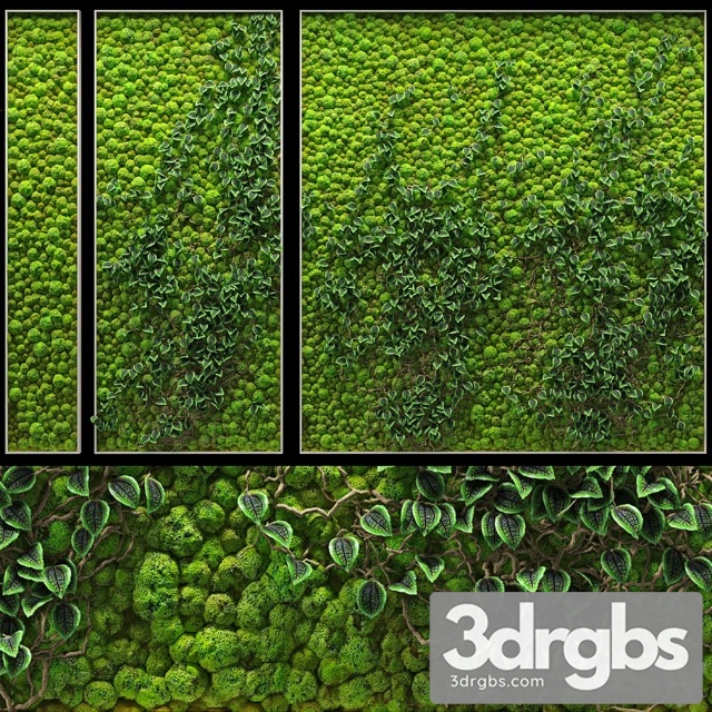 Fitowall Vertical Landscaping 3dsmax Download