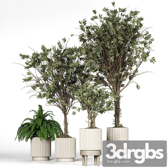 Collection plant 05 3dsmax Download - thumbnail 1
