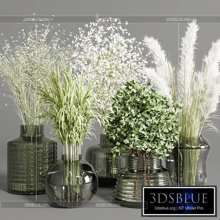 collection Plants Bouquet Indoor glass vase 3DS Max - thumbnail 3
