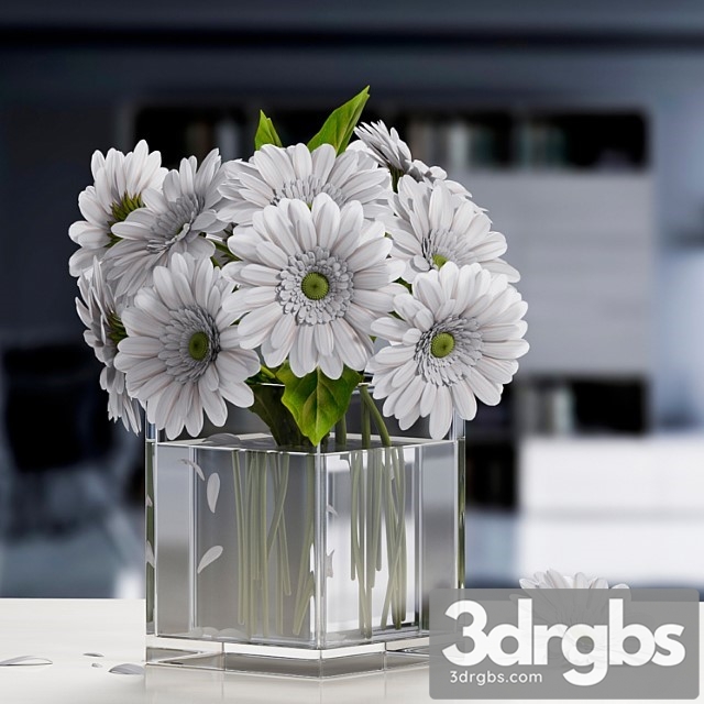 White Gerbera Flower 3dsmax Download - thumbnail 1