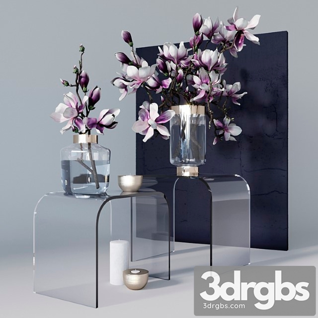 Decorative set with magnolia 3dsmax Download - thumbnail 1