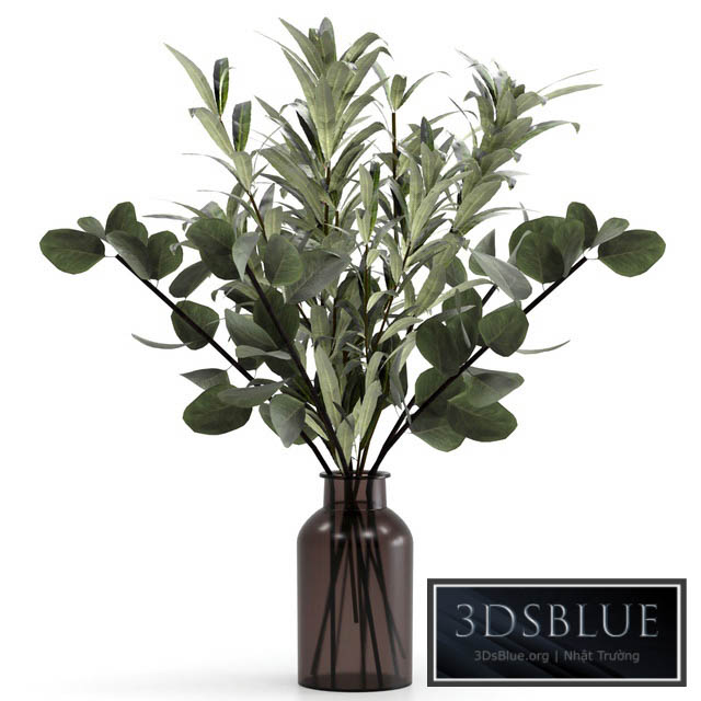 Bouquet of eucalyptus twigs and olives. 3DS Max - thumbnail 3