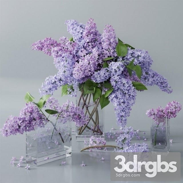 Purble Lilac Bouquet 2 3dsmax Download - thumbnail 1