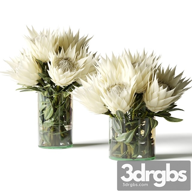 Flower Set white Proteas 3dsmax Download - thumbnail 1