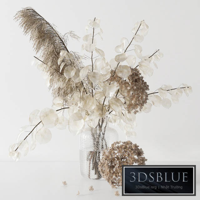 Bouquet with lunaria pampas grass and hydragea 3DS Max - thumbnail 3