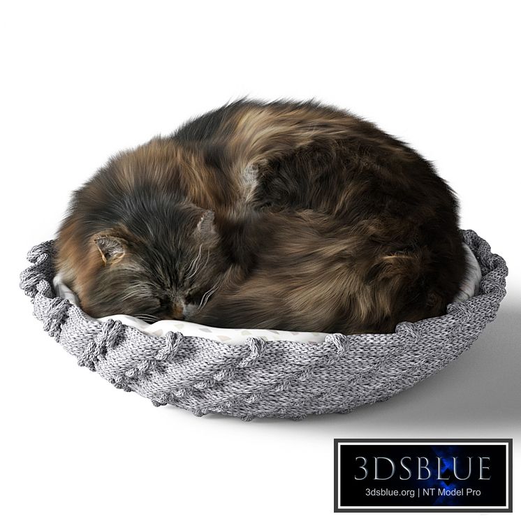 Cat with pillow 3DS Max - thumbnail 3