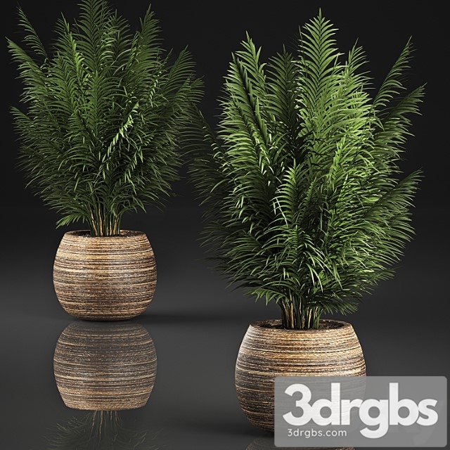 Beautiful Decorative Small Lush Palm Bush In Basket 828 3dsmax Download