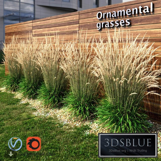 Ornamental grass dry 3DS Max - thumbnail 3