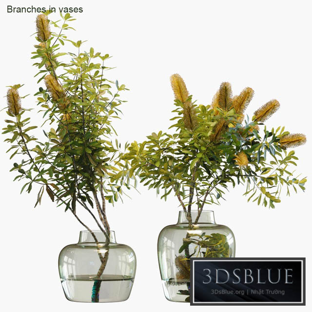 Branches in vases # 28: Banksia 3DS Max - thumbnail 3