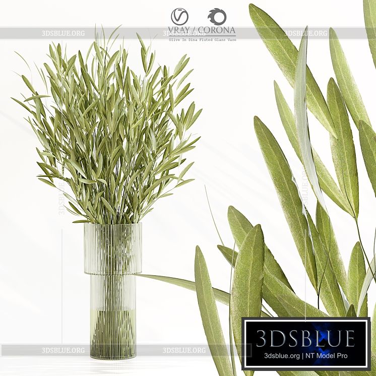 Olive In Dina Fluted Glass Vase 3DS Max - thumbnail 3