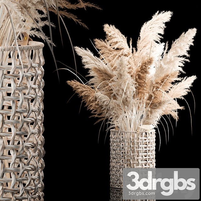 Bouquet Of White Dried Flowers In A Wicker Basket Reeds Pampas Grass Cortaderia 256 3dsmax Download - thumbnail 1