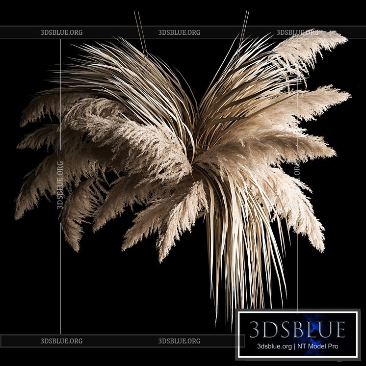 Hanging bouquet of dry reeds and pampas grass for decoration and interior. 266. 3DS Max - thumbnail 3