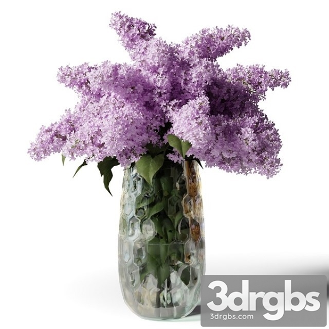 Bouquet of Lilacs in a Modern Tall Vase 3dsmax Download - thumbnail 1