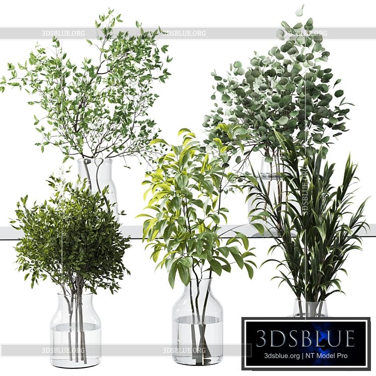 Collection Green Plants Bouquet Indoor 12 3DS Max - thumbnail 3