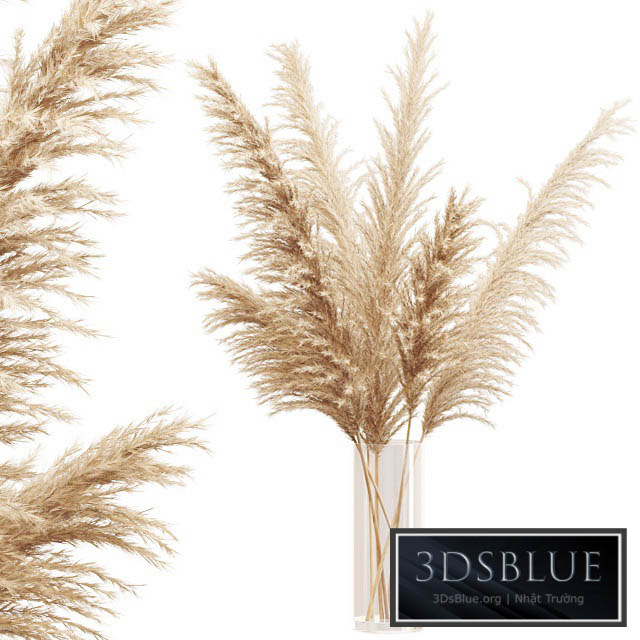 Big dried flower pampas grass in glass vase 3DS Max - thumbnail 3