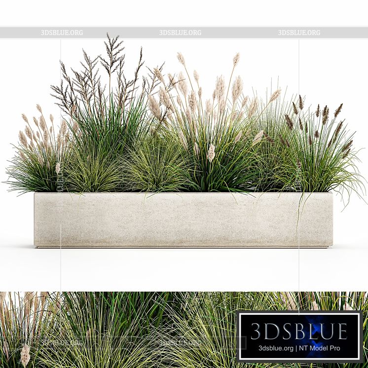 Collection of plants in a pot with pampas grass reeds flowerbed bushes landscaping. Set 1076. 3DS Max - thumbnail 3
