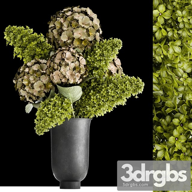 Beautiful Modern Bouquet of Green Flowers In Black Vase With Hydrangea Green Lilac 169 3dsmax Download - thumbnail 1