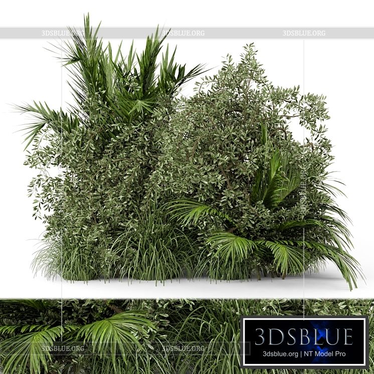 Outdoor Plants Bush-Bush Set 446 3DS Max - thumbnail 3