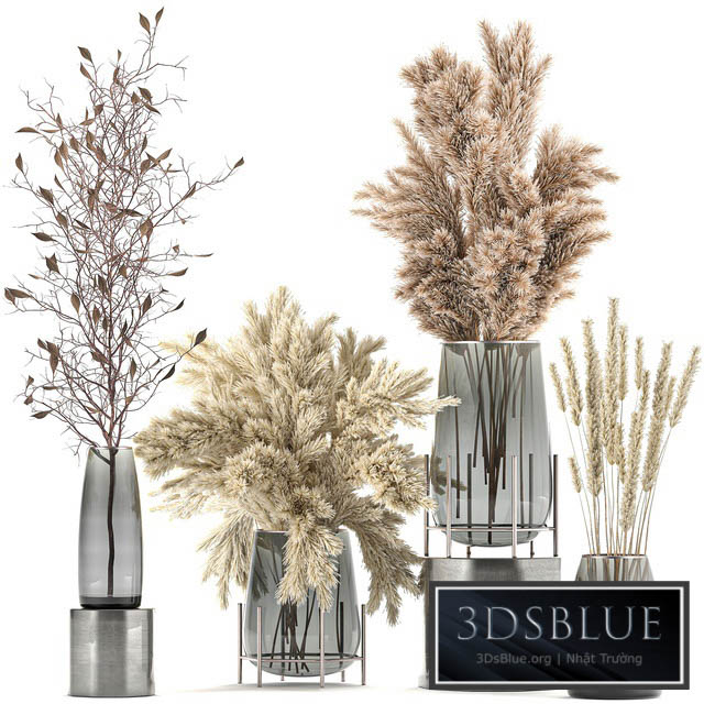 A collection of bouquets of dried flowers in glass vases with Pampas branches Cortaderia pampas grass reeds. Set 103. 3DS Max - thumbnail 3