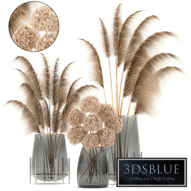 A collection of bouquets of dried flowers in glass vases with Pampas Hydrangea Cortaderia pampas grass reeds. Set 101. 3DS Max - thumbnail 3