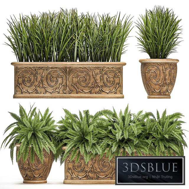 Plant Collection 496. fern bushes classic flowerpot landscaping outdoor pots for garden park 3DS Max - thumbnail 3