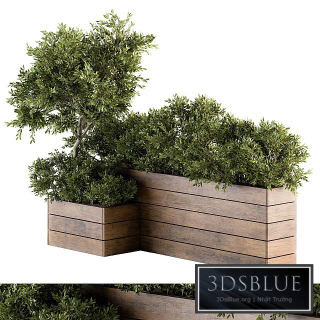 Outdoor Plants tree in Wood Box – Set 154 3DS Max - thumbnail 3