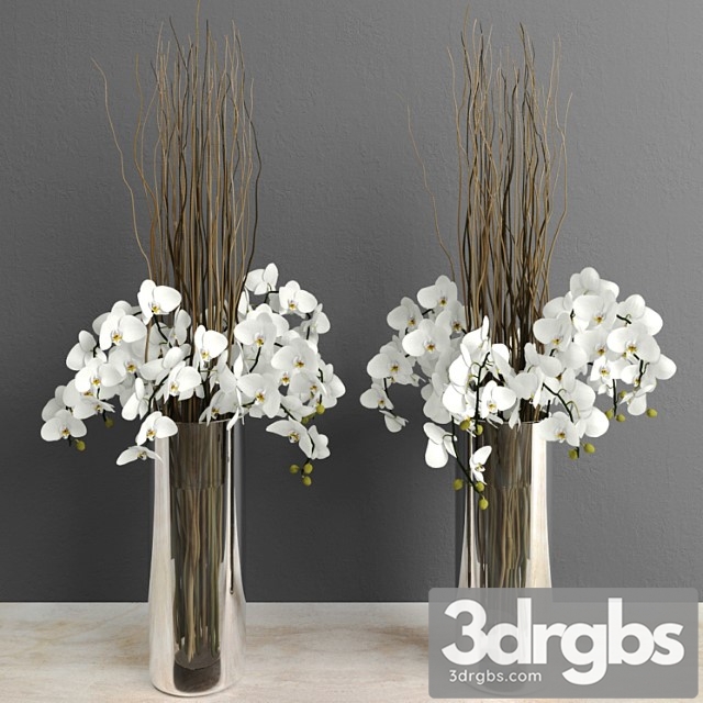 Orchids With Willow Branches 3dsmax Download