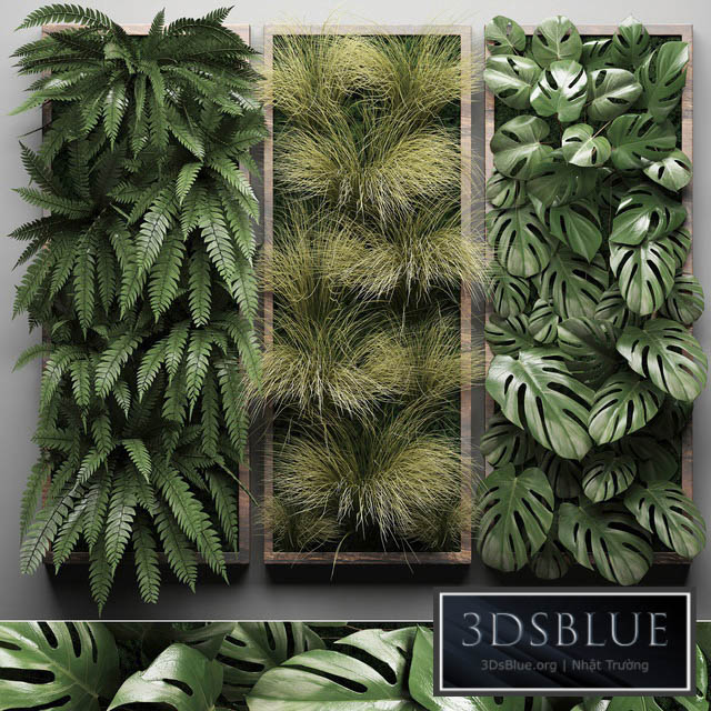 Vertical garden 29. Phytowall picture grass fern monstera wall decor phytomodule vertical garden 3DS Max - thumbnail 3