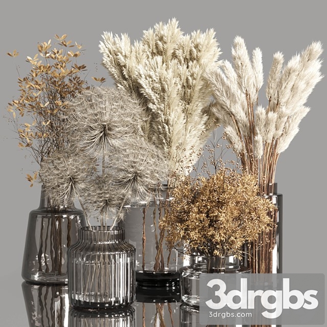 Collection Dry Plants Bouquet Indoor 02 3dsmax Download - thumbnail 1