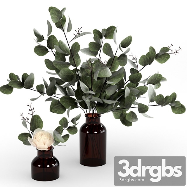 Bouquets of Eucalyptus 3dsmax Download - thumbnail 1