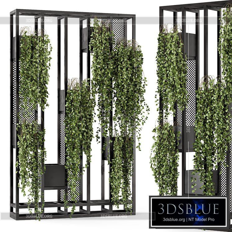 Indoor Hanging Plants in Metal Stand – Set 848 3DS Max - thumbnail 3