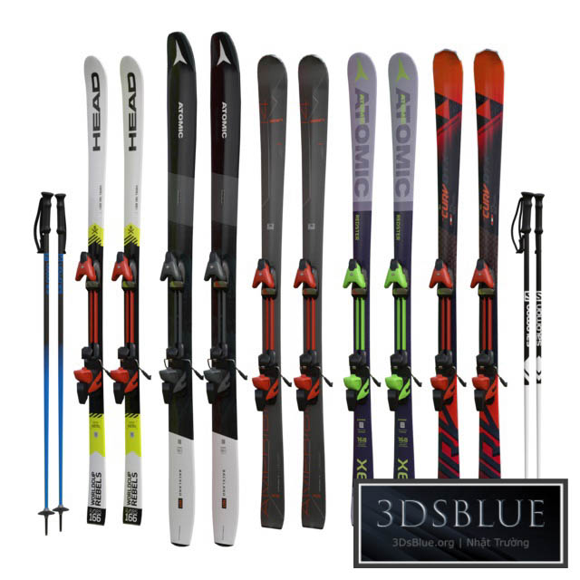 Alpine skiing and sticks 3DS Max - thumbnail 3